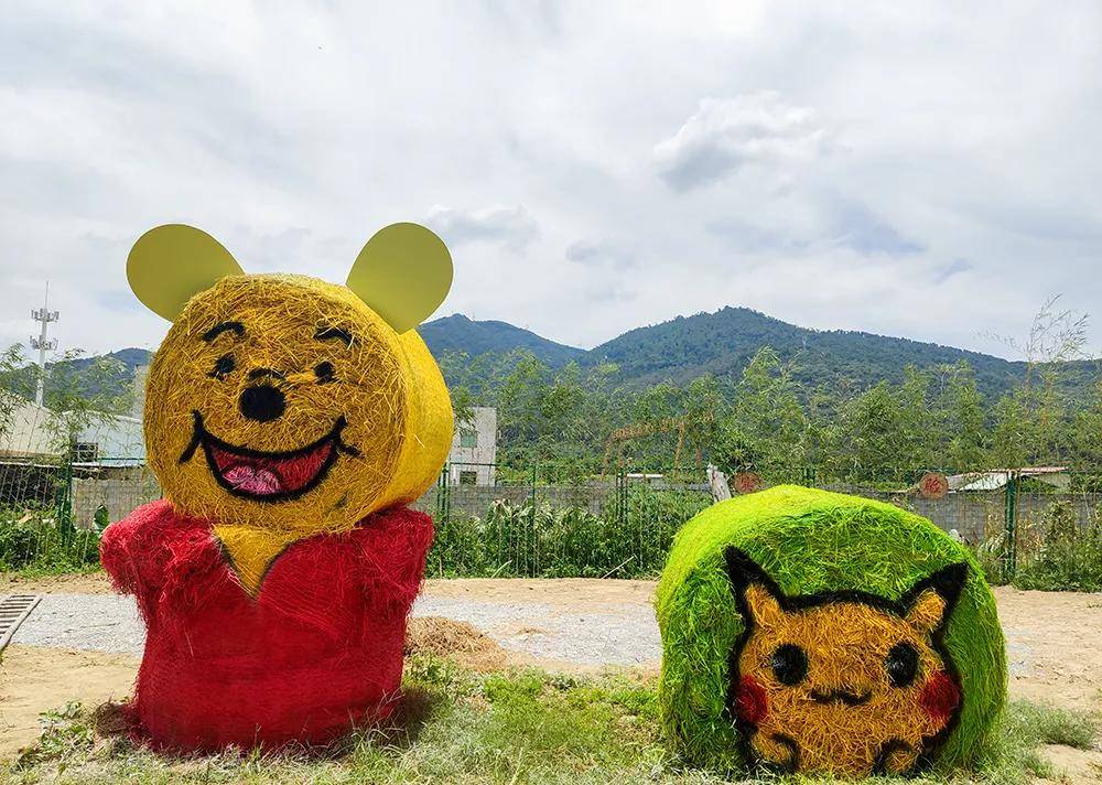 福建罕见海沧百亩草垛主题乐园出门就是森林