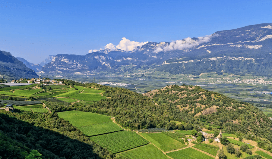 意大利葡萄酒产区