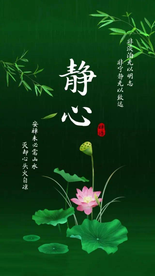 将简单的日子静默成花香,用一颗如水之心,执一份美好,让心境淡然生花