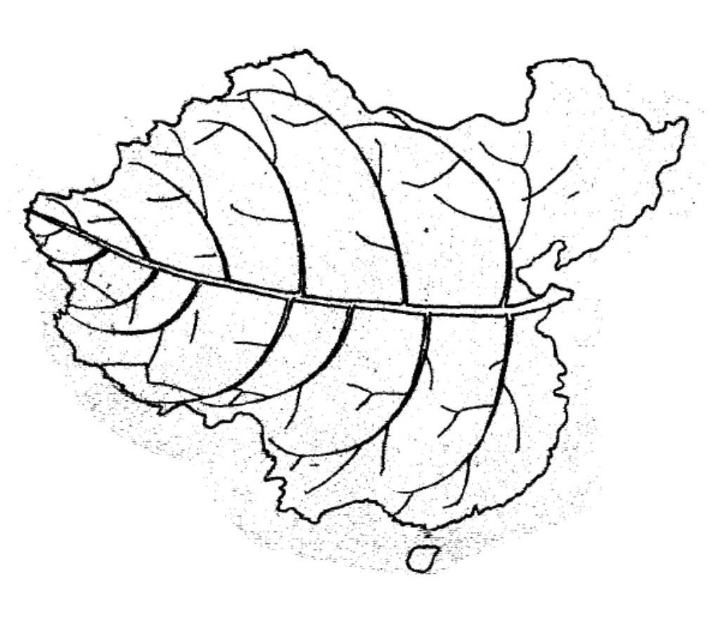 地图中国简笔画 黑白图片