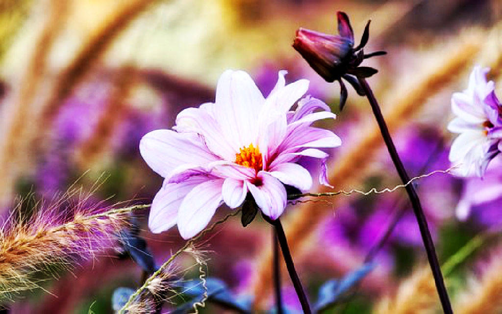 适合做个性签名的短语句子,超精致超走心,发朋友圈赞声一片