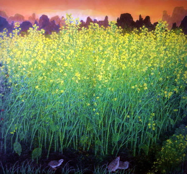 春洒遍地金赏画家龙万和油菜花作品