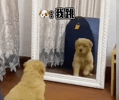 416_350gif 动态图 动图