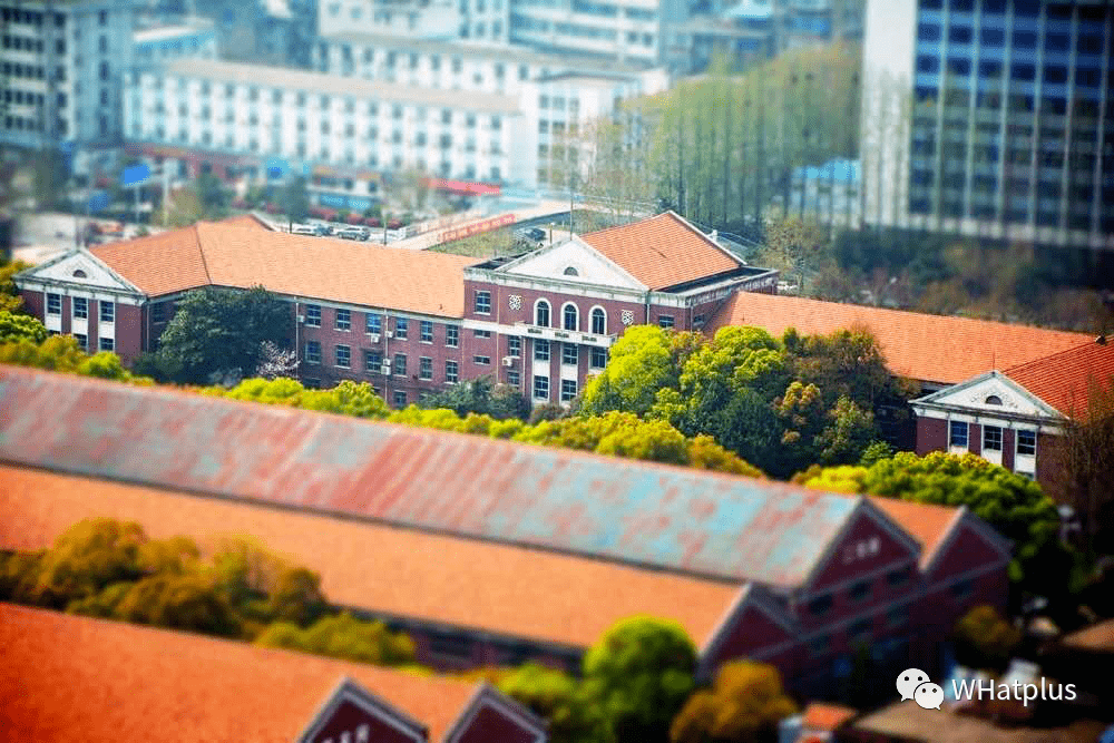 有一种活色生香,叫杨园