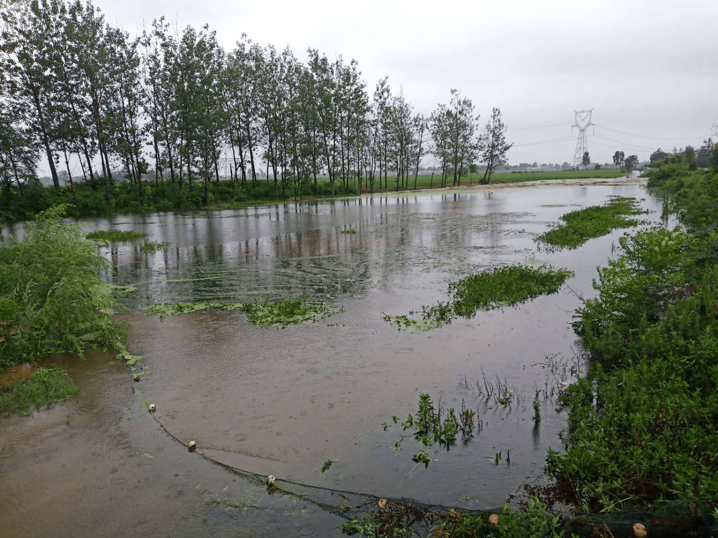 唐河县龙潭镇:凝心聚力 防汛排涝