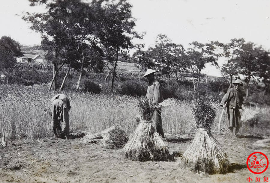 老照片:90年前山东农民的日常生活,踩水车一幕再也见不到