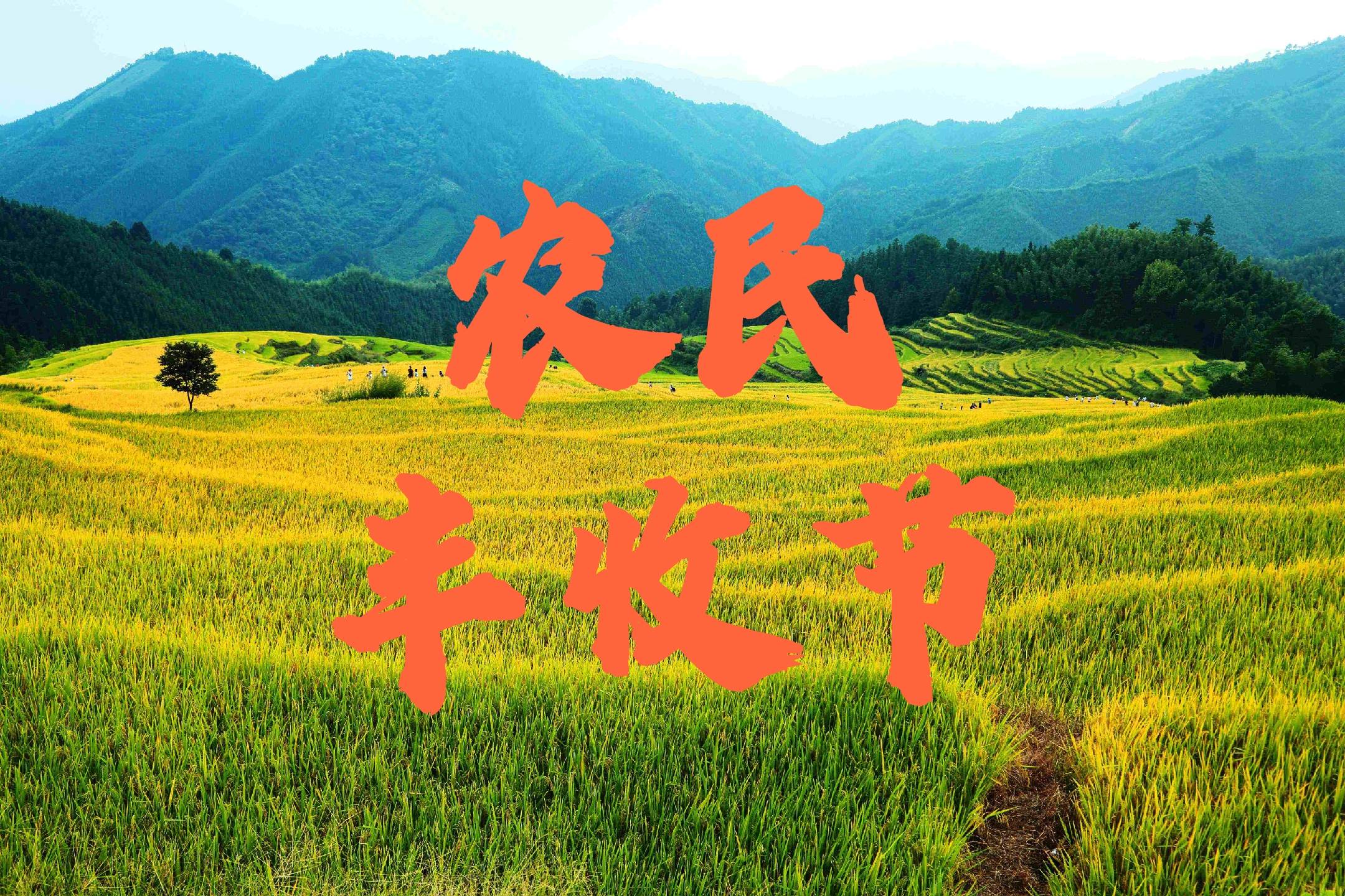 今年农民丰收节怎么庆祝?看这里!_手机搜狐网