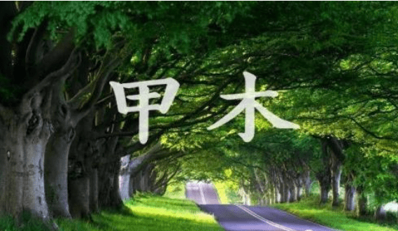 起名案例分析:6月30日出生的甲木宝宝取名应该考虑哪些信息?