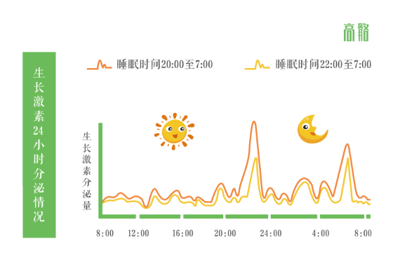 生长激素24小时分泌情况