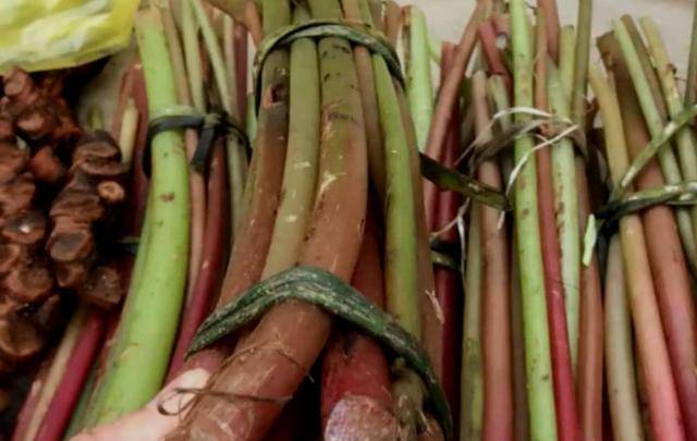 原创农村这种叫酸汤草的植物小孩经常采来吃其实它药用价值特别高