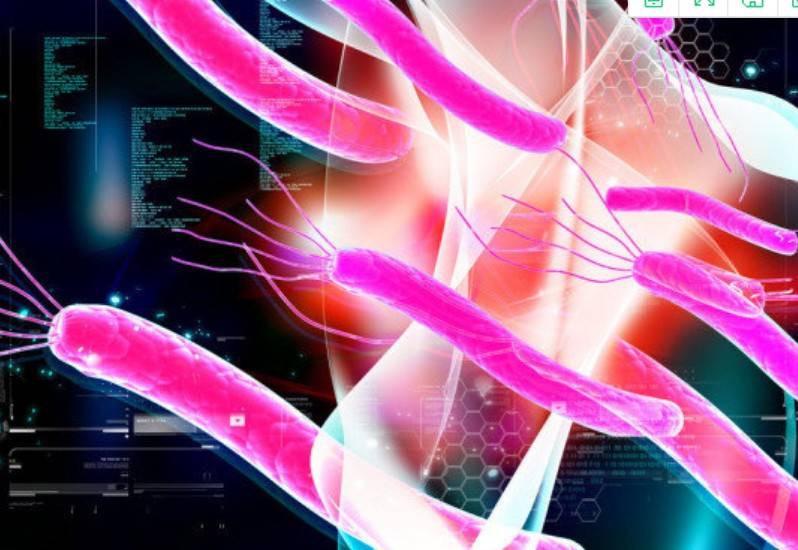 胃里长有这东西，小心会变癌，每天喝1口它，杀菌养胃，远离胃病_幽门