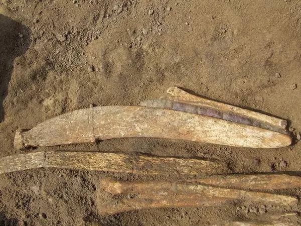 中国东北地区最大的史前遗址,内蒙古扎鲁特旗南宝力皋吐墓地