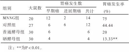 硒可降低人群胃癌的發病率和死亡率.