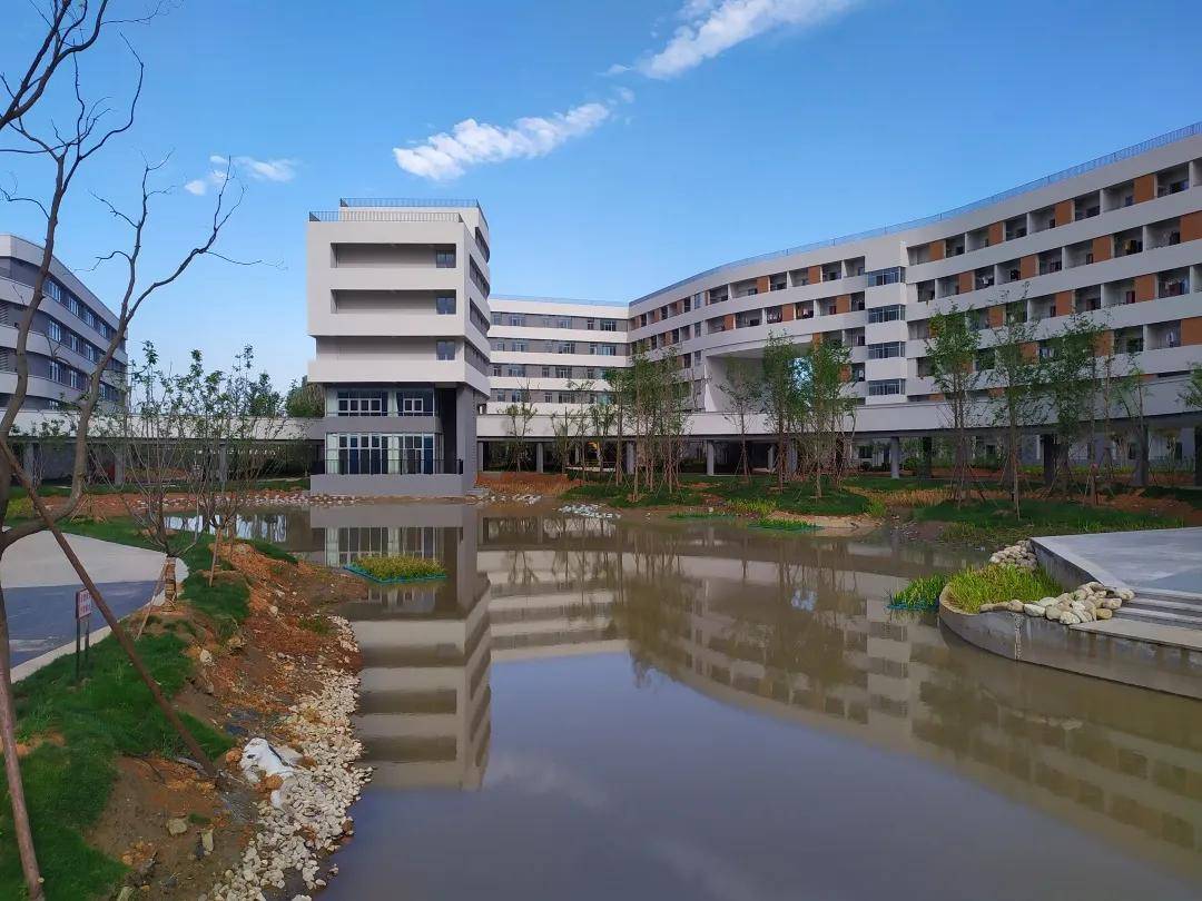 榜上有名 | 杭州湾新区的科学中学荣获【2020年宁波市初中学校排名】