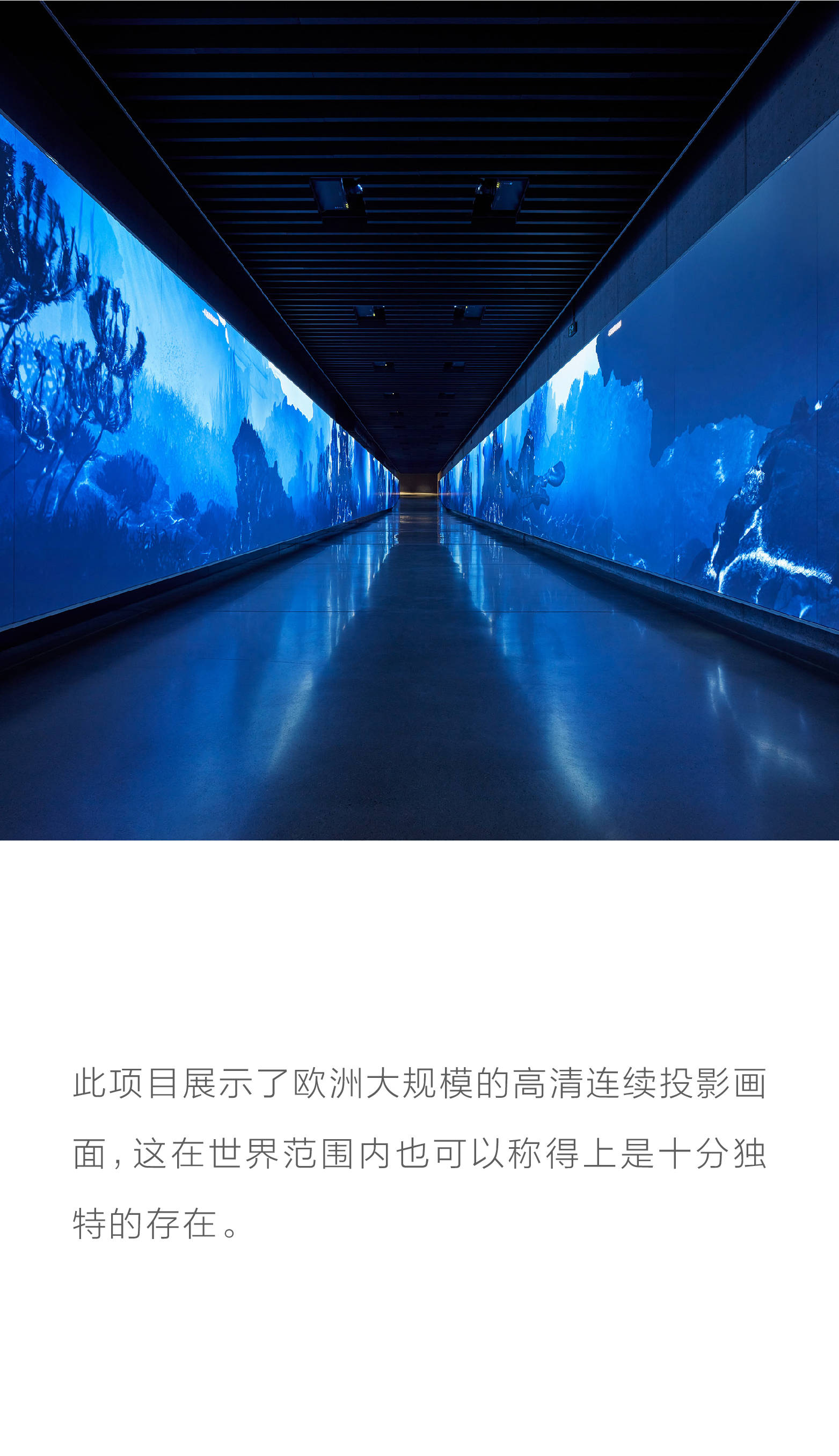 艺术视野历史瞬间时光走廊