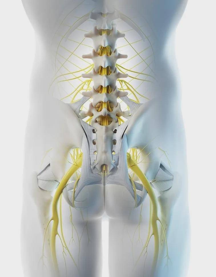 腰骶部疼痛指哪个部位图片