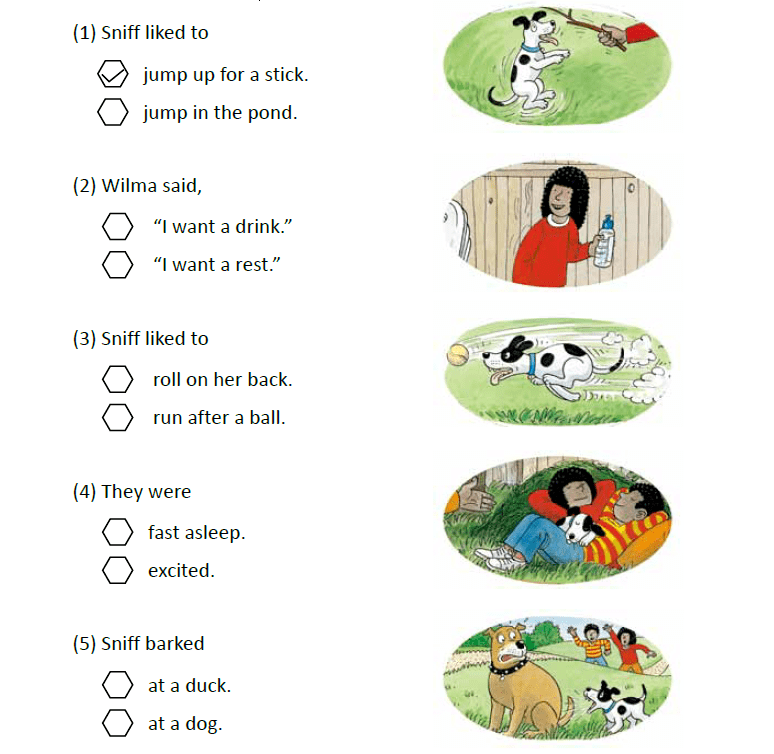 伴读| 牛津树【3-2】sniff