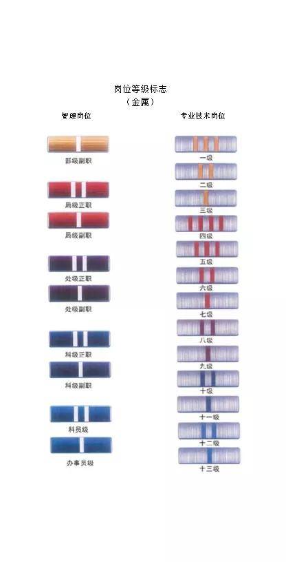 文职人员服装及岗位等级标志,带给你不一样的感觉