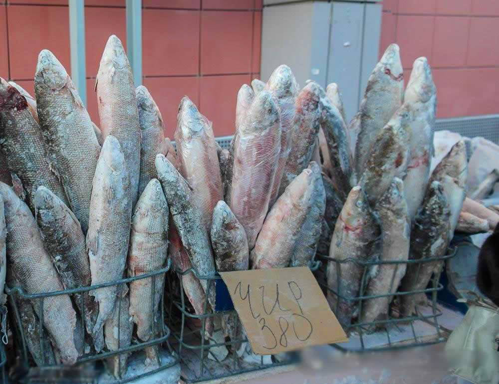 资源,光是水力资源藏量就达到了7000亿千瓦,占全俄罗斯水资源量的22%