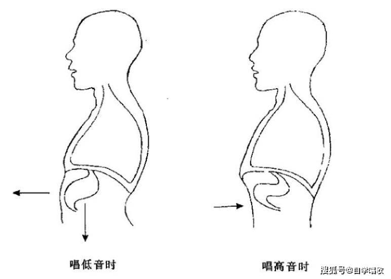 唱低音时肺部外扩,唱高音时肺部内收.