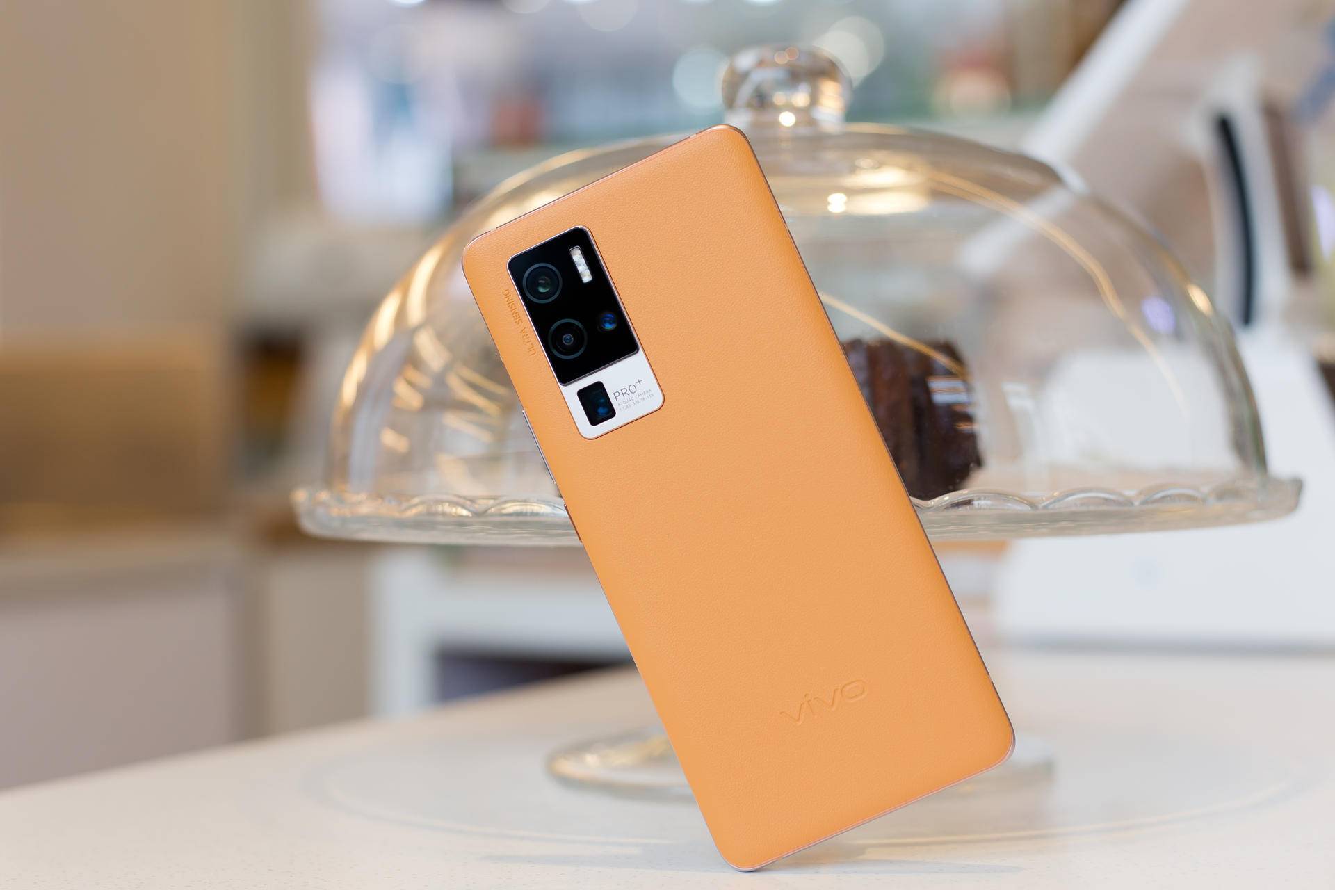 vivox50pro图赏各方面都无可挑剔影像是最大优势