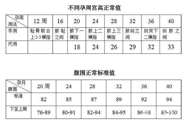 原創孕28週一過,孕媽最好避開幾個禁區,以免刺激宮縮,胎兒出現早產