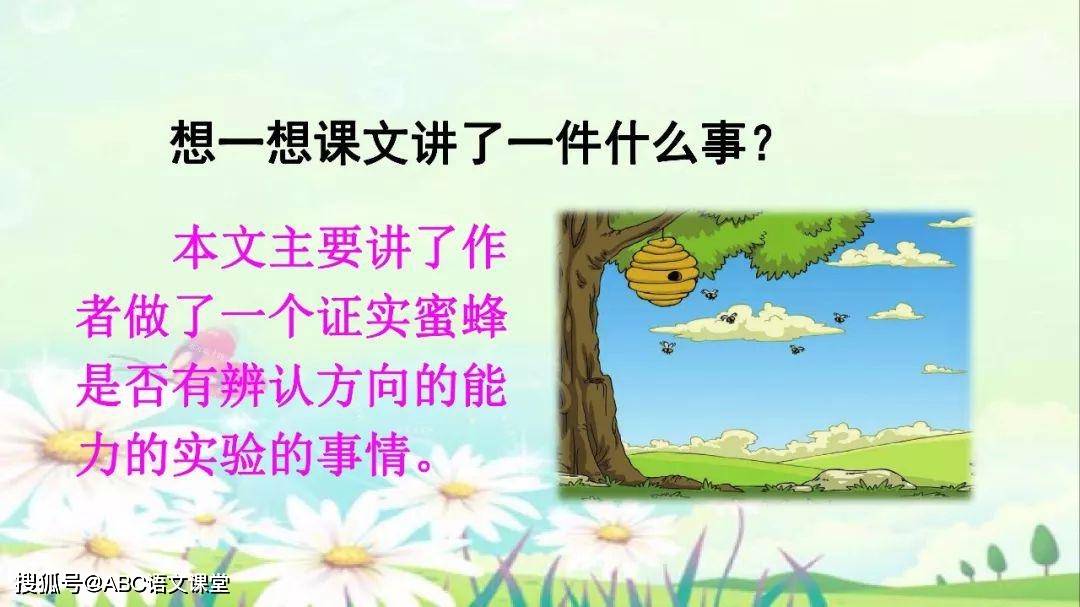 部编版小学三年级语文下册音频朗读 知识点 图文解读 第14课《蜜蜂》