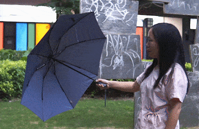 400_260gif 动态图 动图