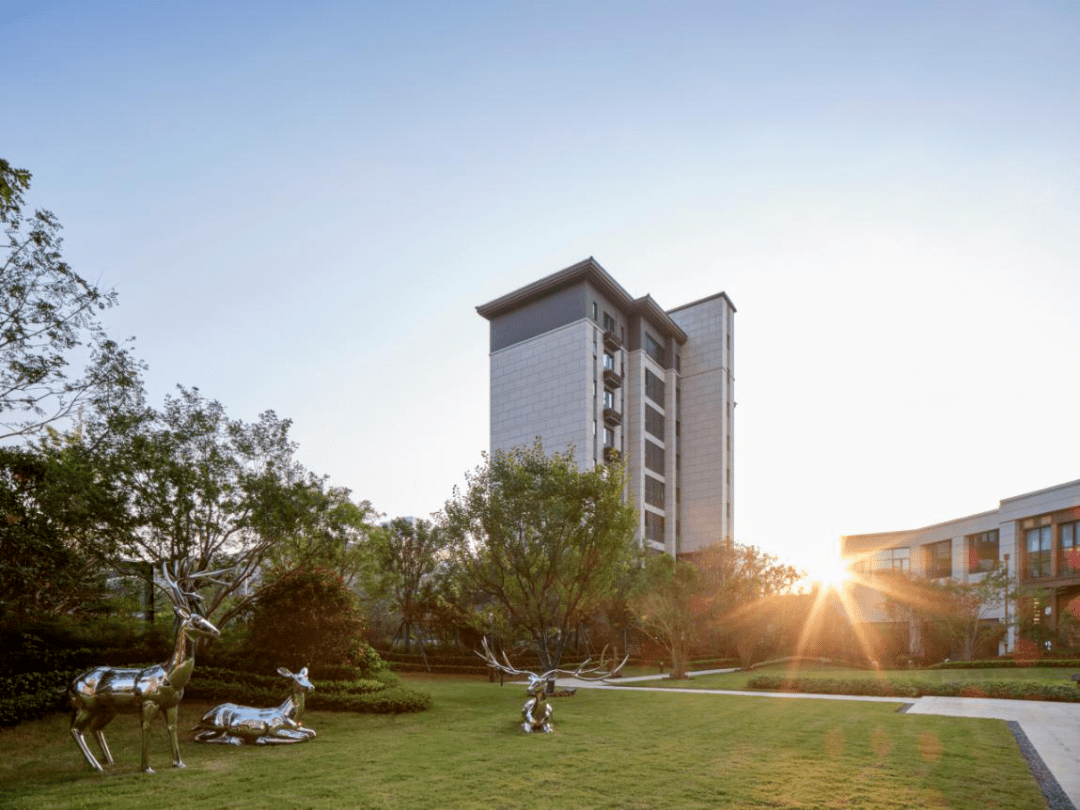 碧桂园·香湖湾1号丨品鉴户型之美,遇见理想的家