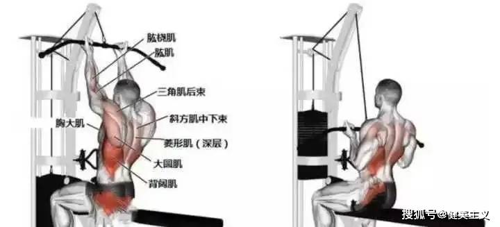 美不美看后背，3%的人才有的背沟到底有多性感~_背部