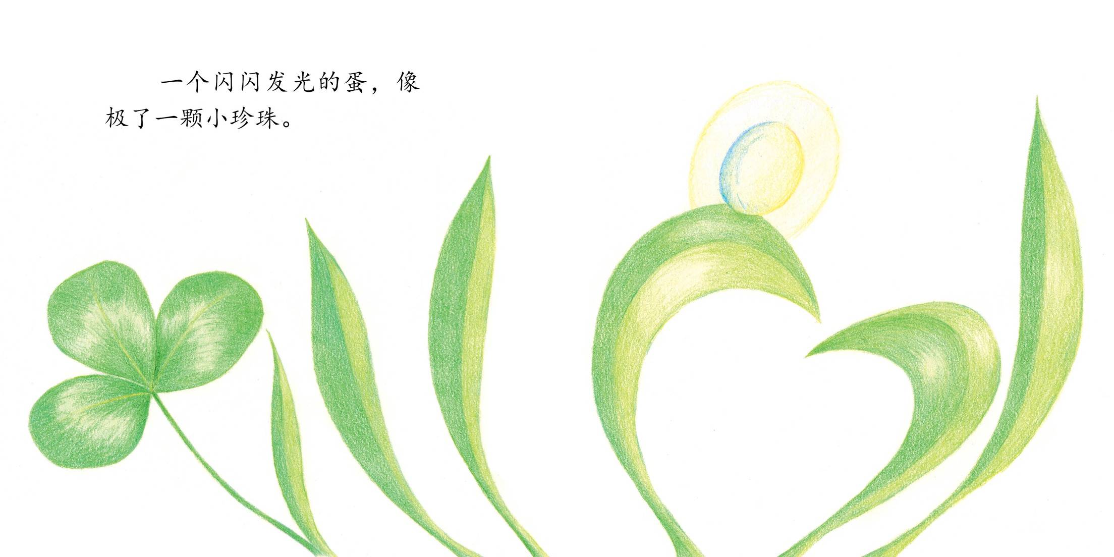 儿童绘本故事推荐《蝴蝶》