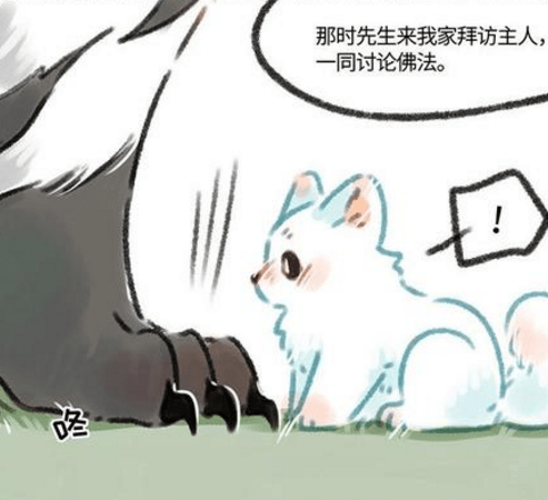 《非人哉》地藏菩萨养过一只小白狗,有人说是谛听?怎么养黑了