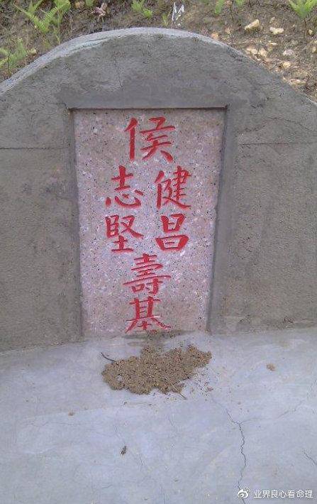 从赌王何鸿燊的传奇来看什么是种生基