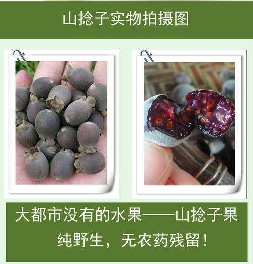 记忆的味道,30年前山上遍地都是,如今10元一斤不一定买得到_捻子