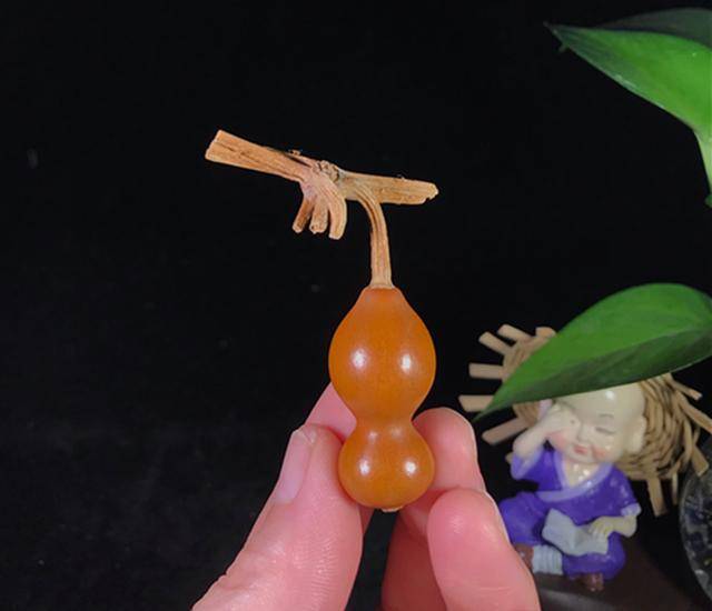 文玩葫芦草里金盘玩并不困难因为你没注意这点才这么觉得