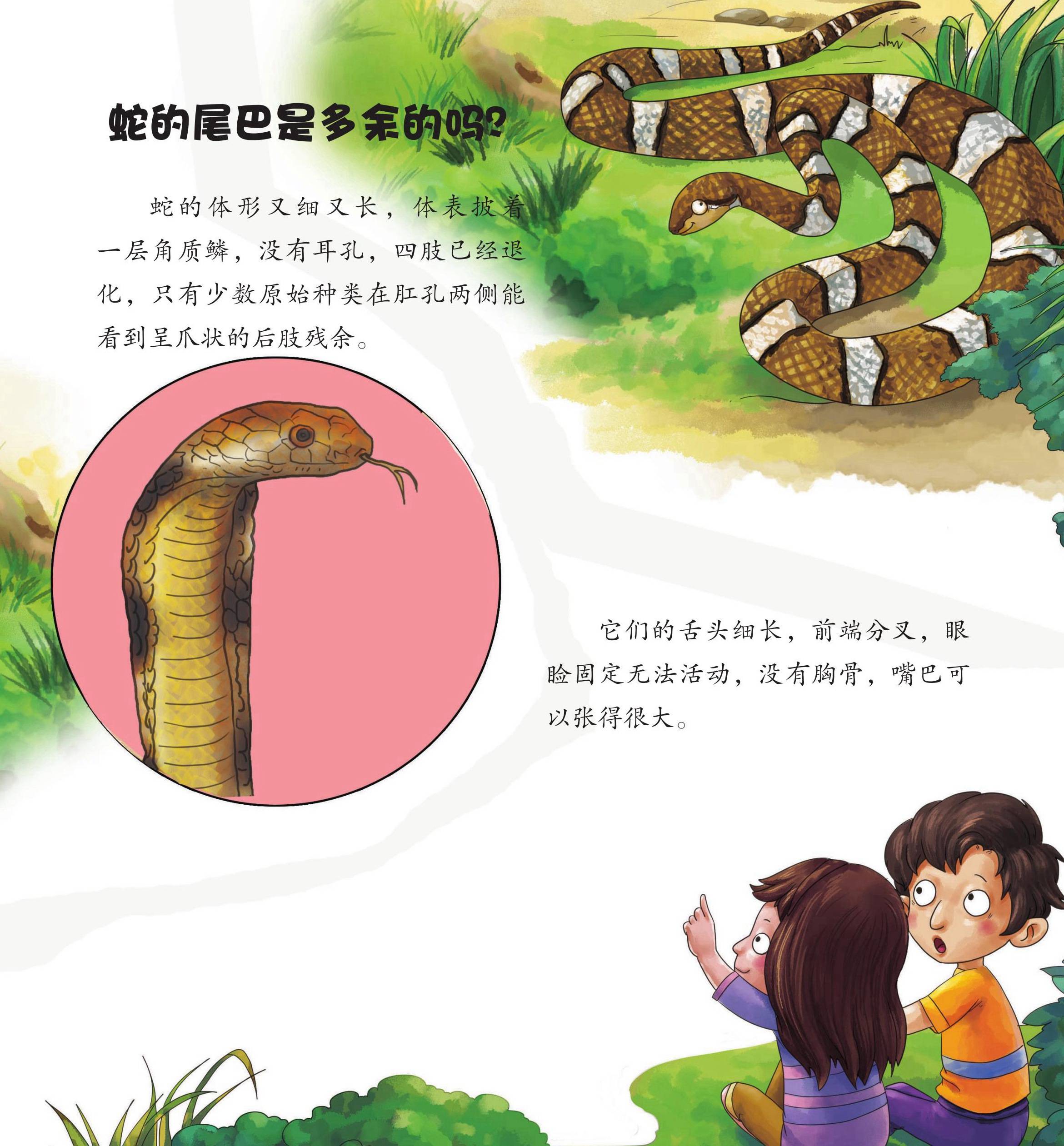 儿童绘本故事推荐《动物园里怪事多上》