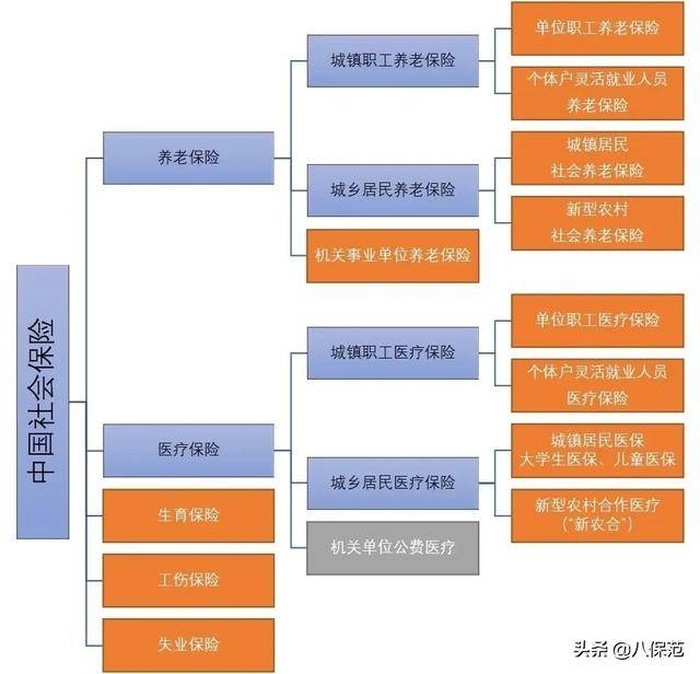 我有社保,还要买商业保险吗?你想知道的在这里