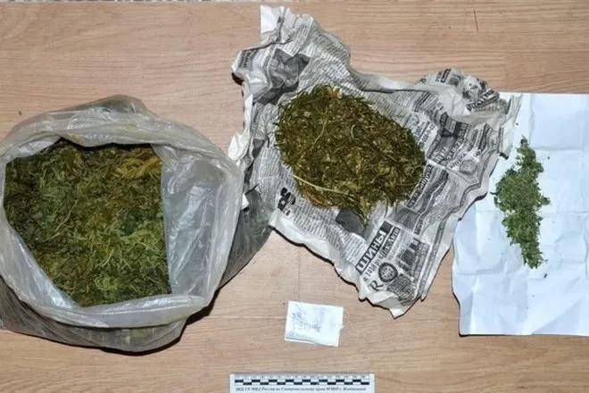 俄罗斯远东地区毒品泛滥一次铲除烧毁数百亩野生大麻