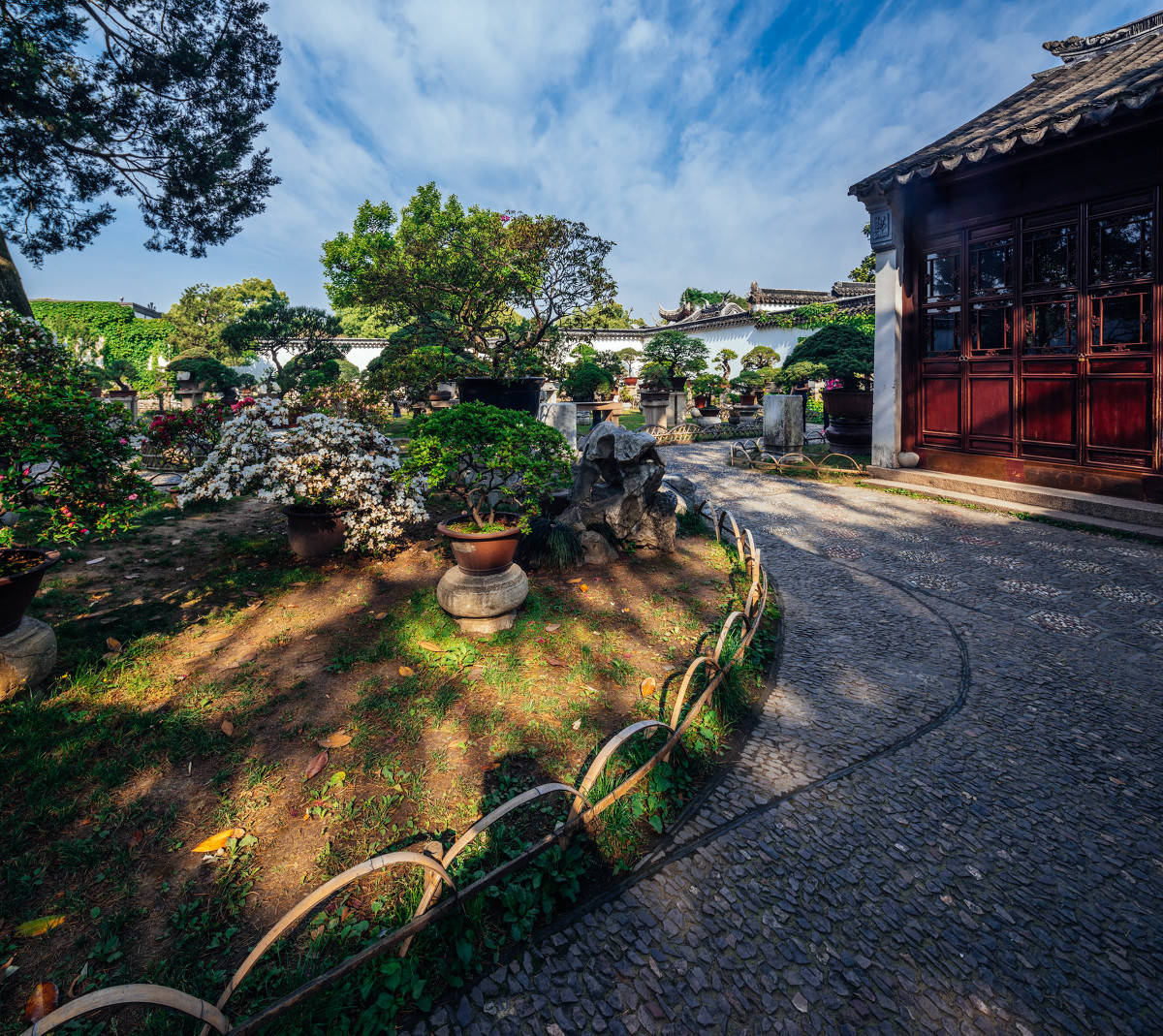 原创苏州唯一的寺庙园林,被誉为"吴门首刹",供养巨鼋濒临灭绝