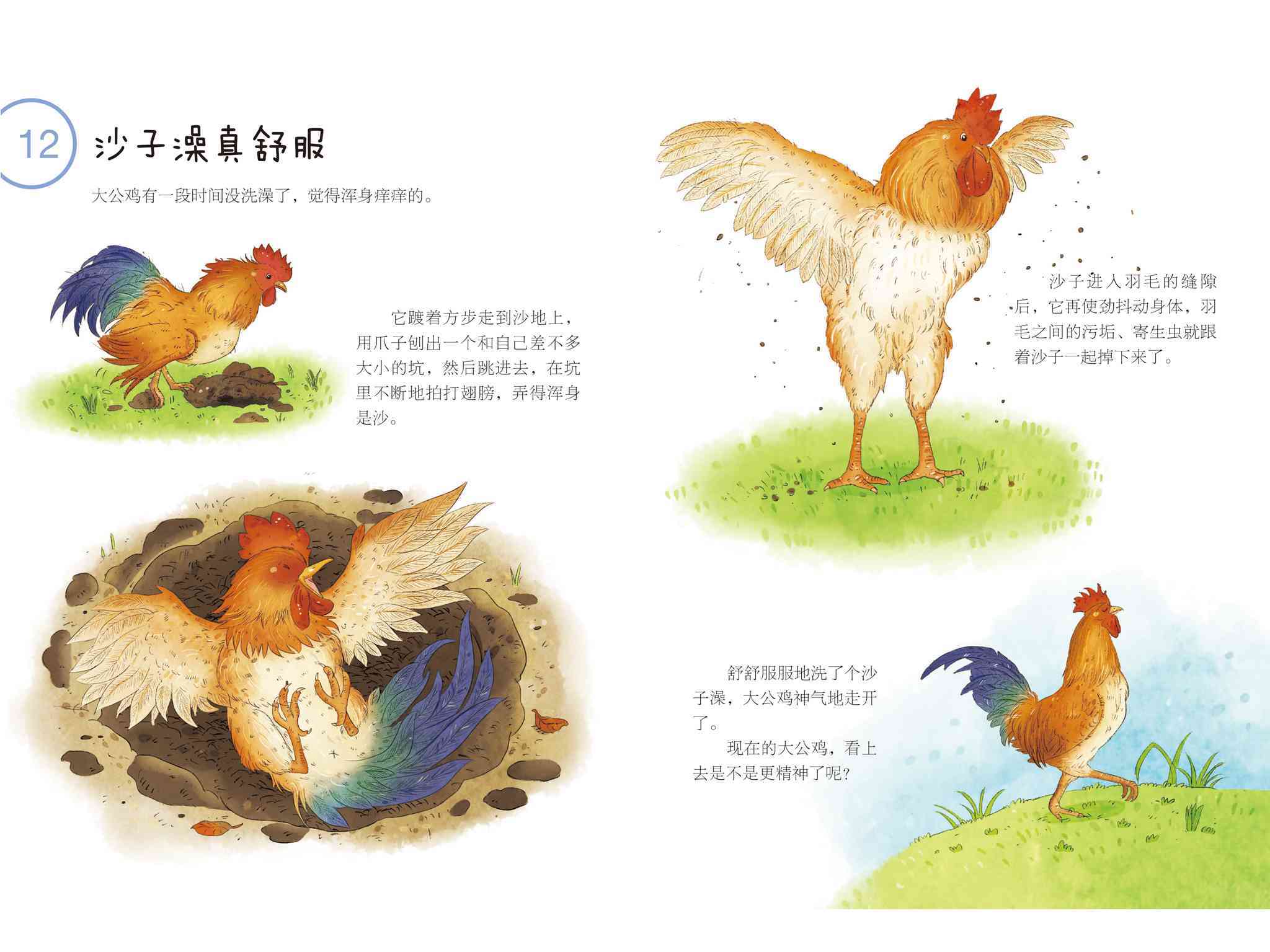 儿童绘本故事推荐啊我爱洗澡下