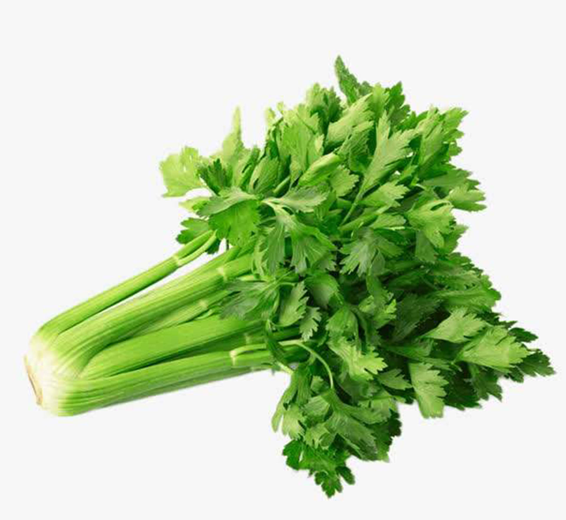 吃这些素食,跟水肿说拜拜!