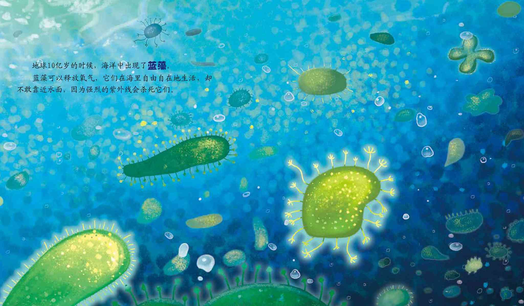 儿童绘本故事推荐《从海洋到陆地》_生命