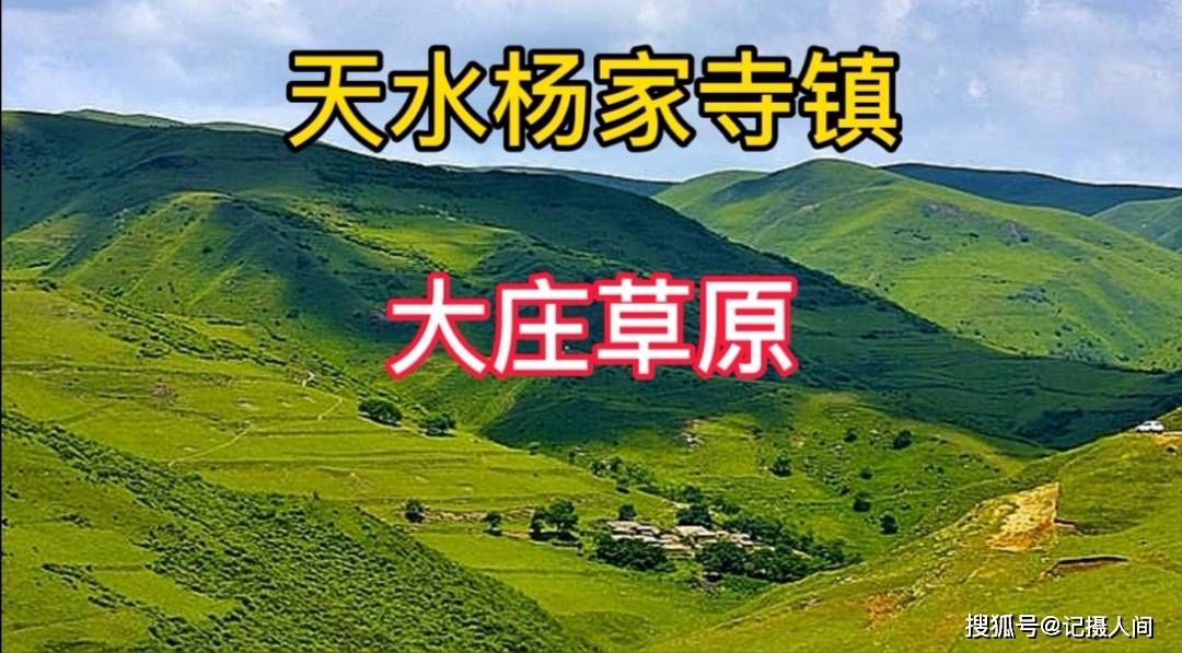 原創天水楊家寺鎮大莊草原上的女兒們