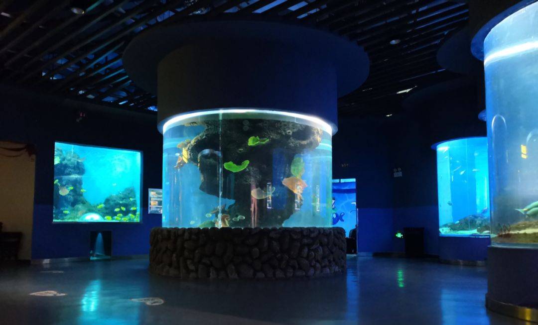 石家庄海悦天地海洋公园亲子票77海悦天地海洋馆门票团购
