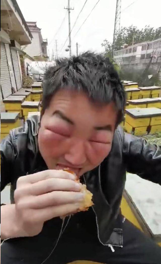 原创没事我去山上抓蜜蜂,无奈山上蜜蜂有点凶!