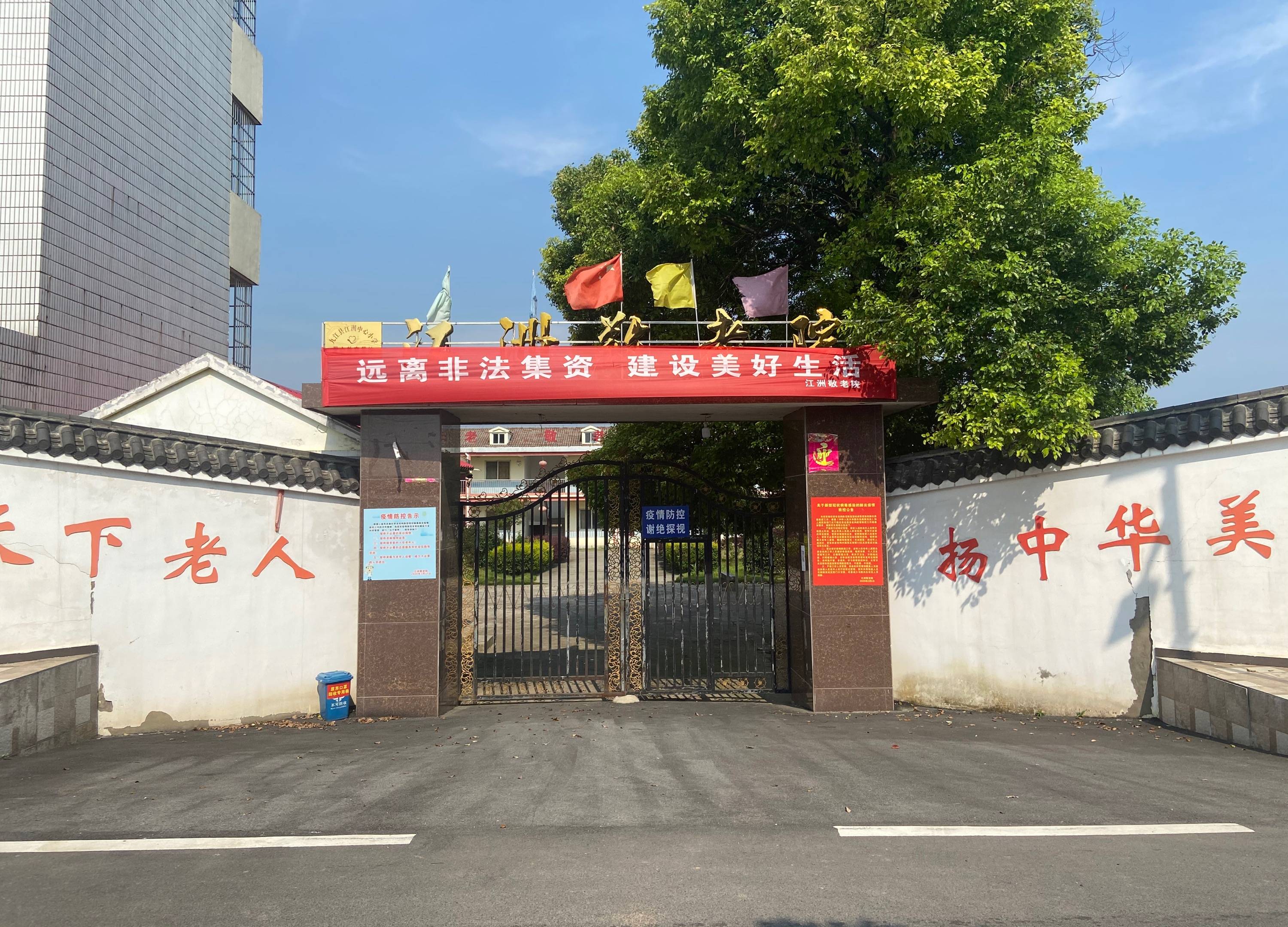 原创南方洪水中的孤岛老人 敬老院提前撤离 有人为了鸡鸭留在岛上