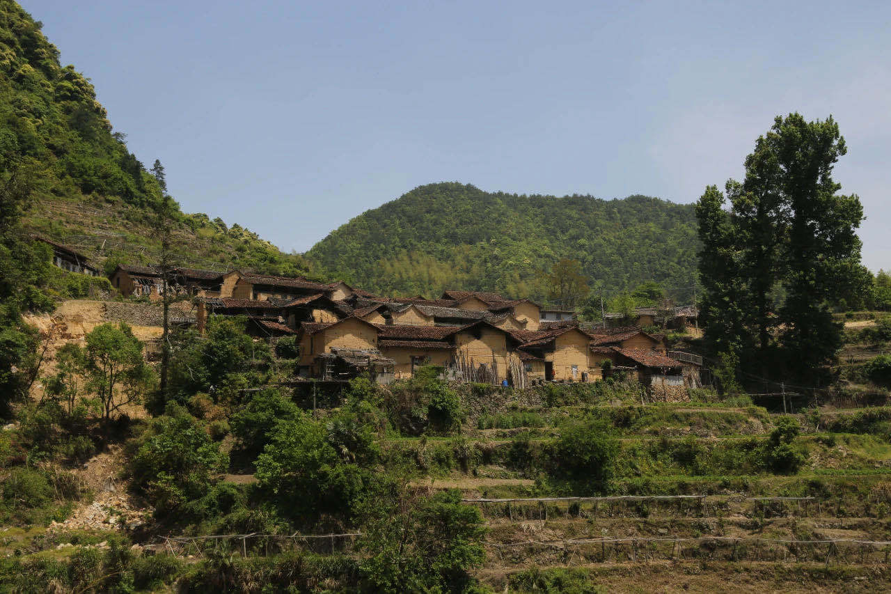 藏不住的田园松阳大东坝蛤湖徒步自驾游