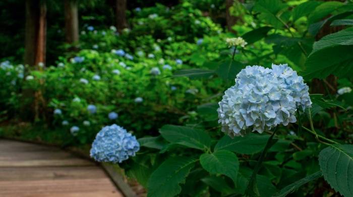 京东拿下五星电器控制权背后，实体零售生意真寡淡！-家电圈官网