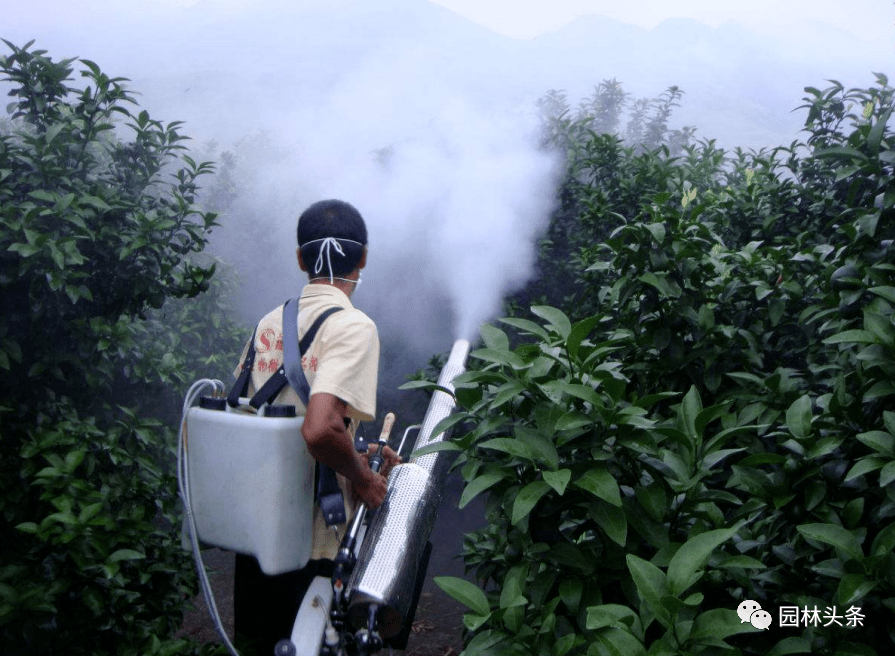 夏季农药应该这么打打一遍顶两遍还不产生药害