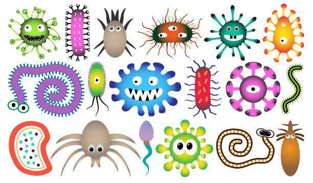 20种常见微生物图片